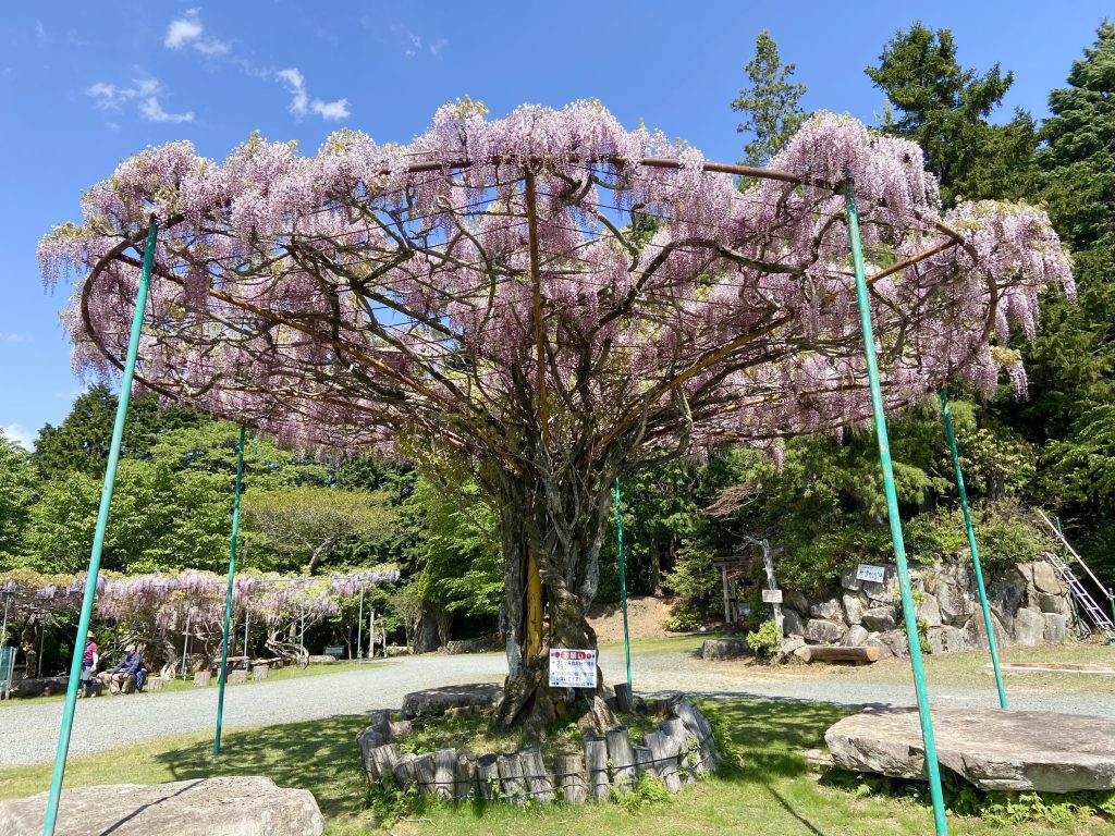 【終了しました】神ノ倉山公園ピクニックワークショップ  〜パラグライダーの聖地で「未来の可能性」を考える１日〜